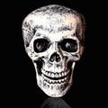 Estacas de Esqueleto Realistas – Decoración de Halloween para Jardín y Exterior.